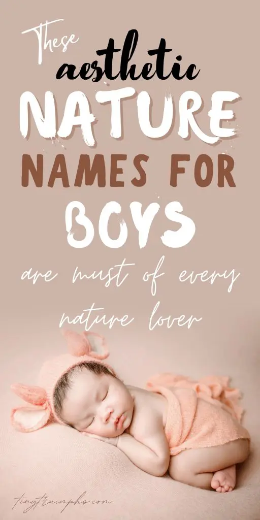 Aesthetic Nature Boy Names