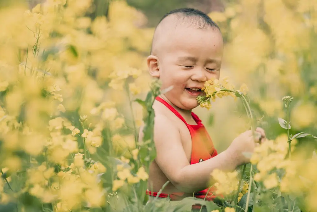 Boy playing with flower in a meadow
