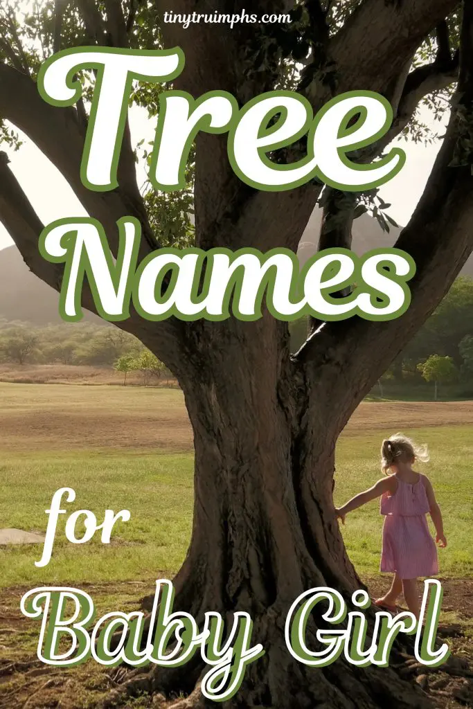 Tree Names Baby Girl