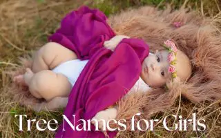 Tree Names for Girls