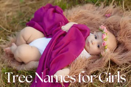 Tree Names for Girls