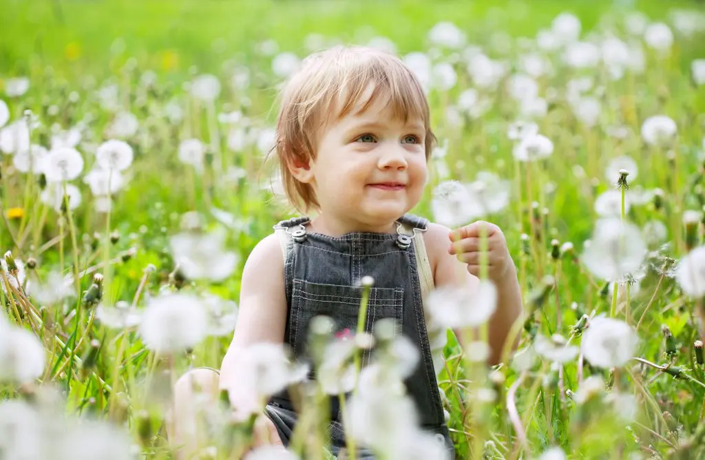 Two-year child at dandelion meadow
