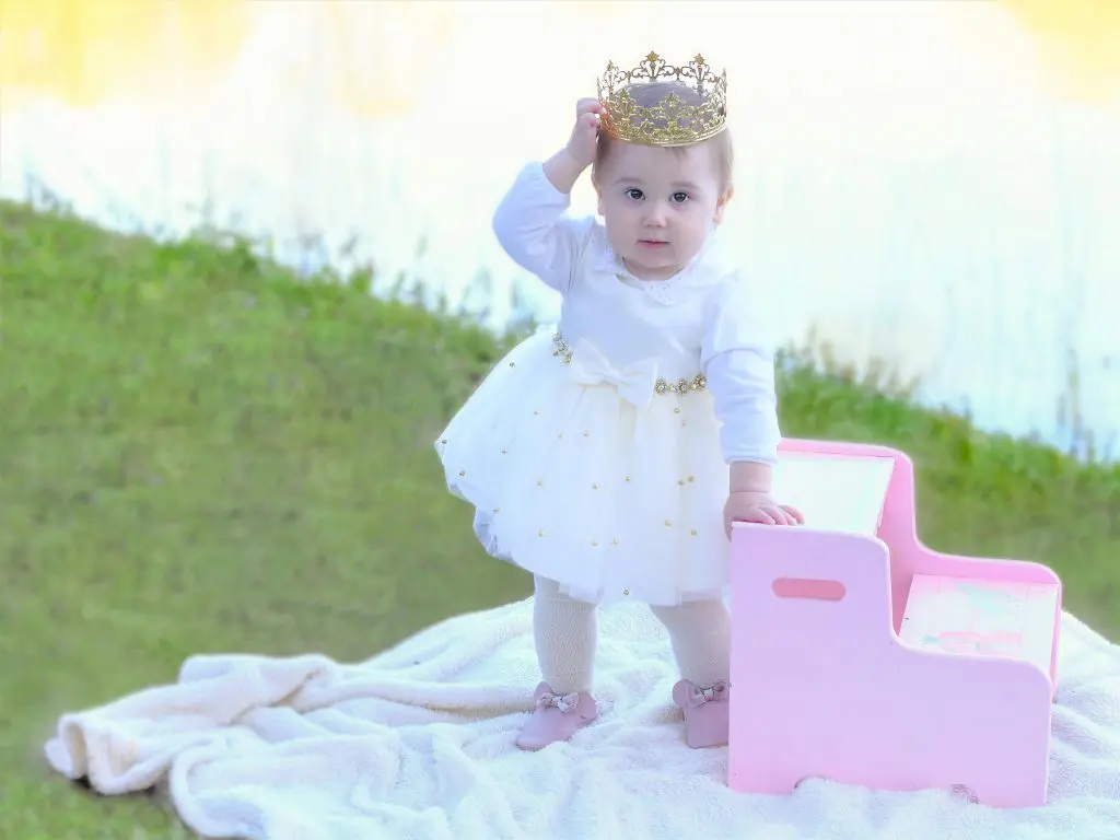 Baby Girl Wearing a Dress and a Crown