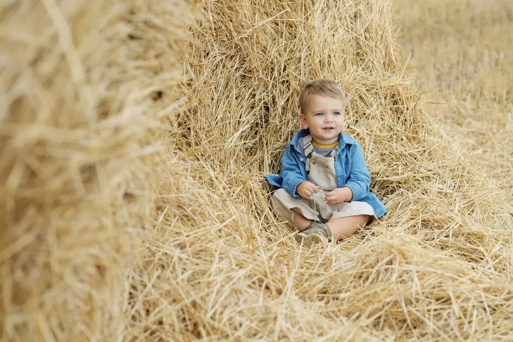 350 Handsome Southern Boy Names 3 An Adorable Boy Sitting on a Hay