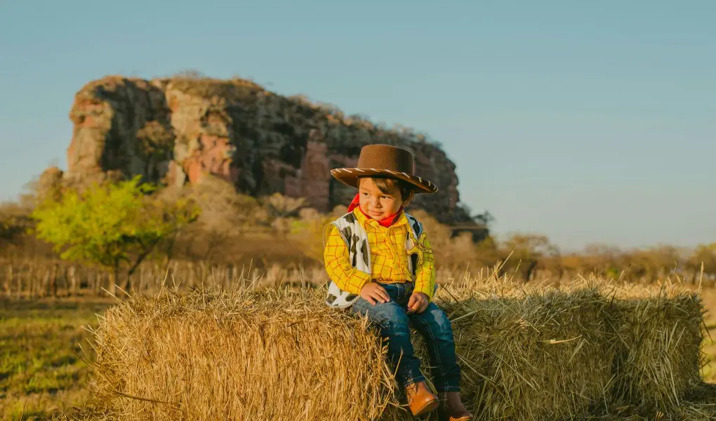 Boy in Woody Costume Sitting on Hay - Featured