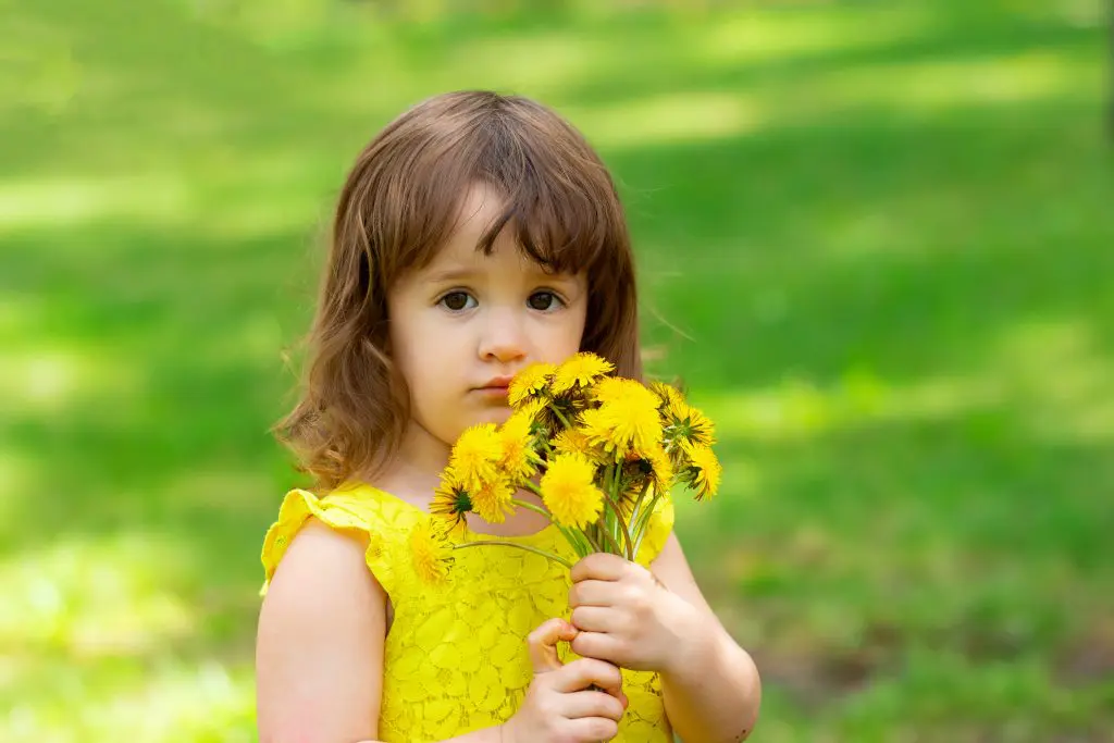Little girl in yellow dress with bouquet of dandelions