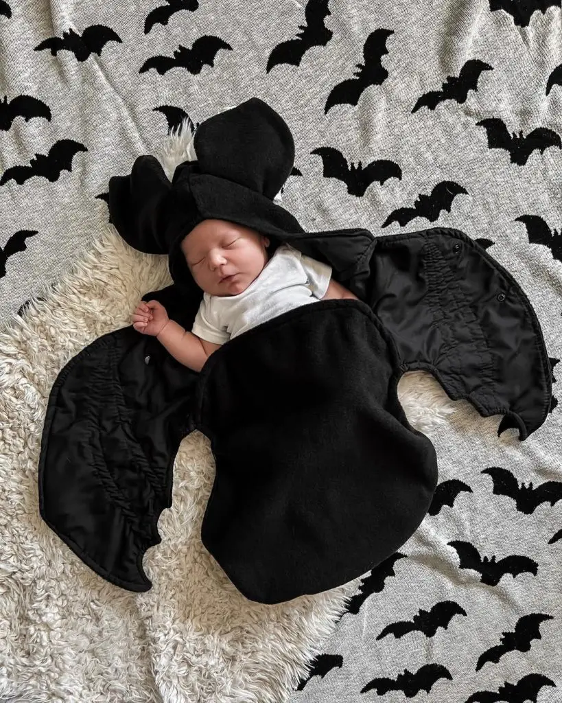Baby Bat