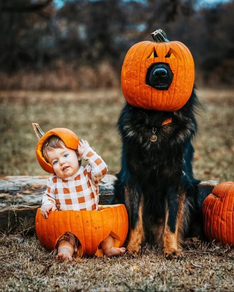 Photoshoot With a Furry Friend