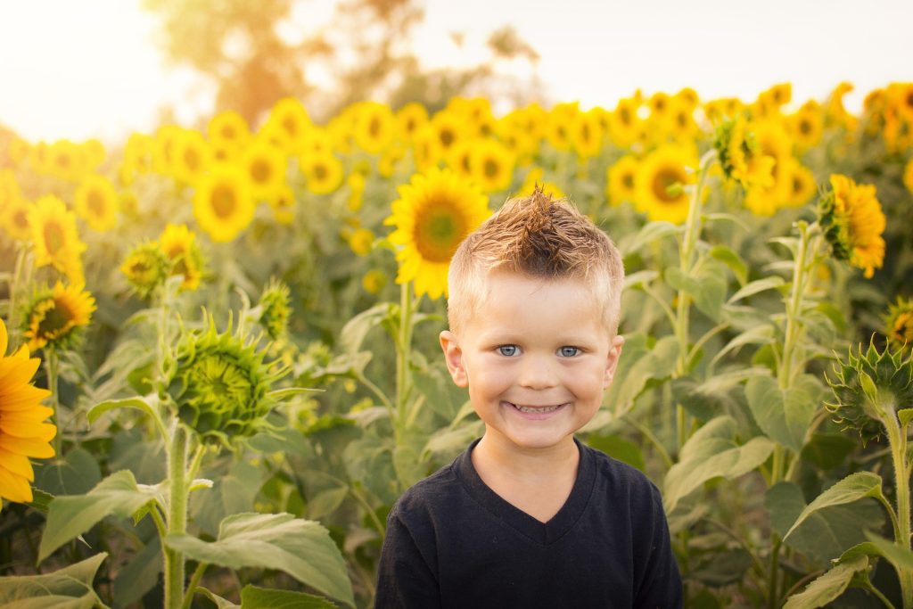 Little Boy Standing in Sunflower Field
