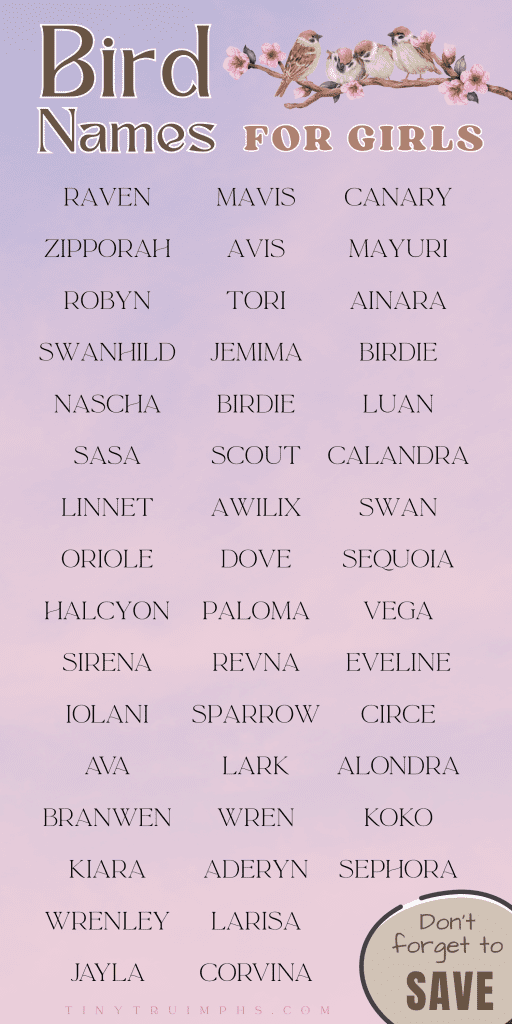 Bird Names For Girls