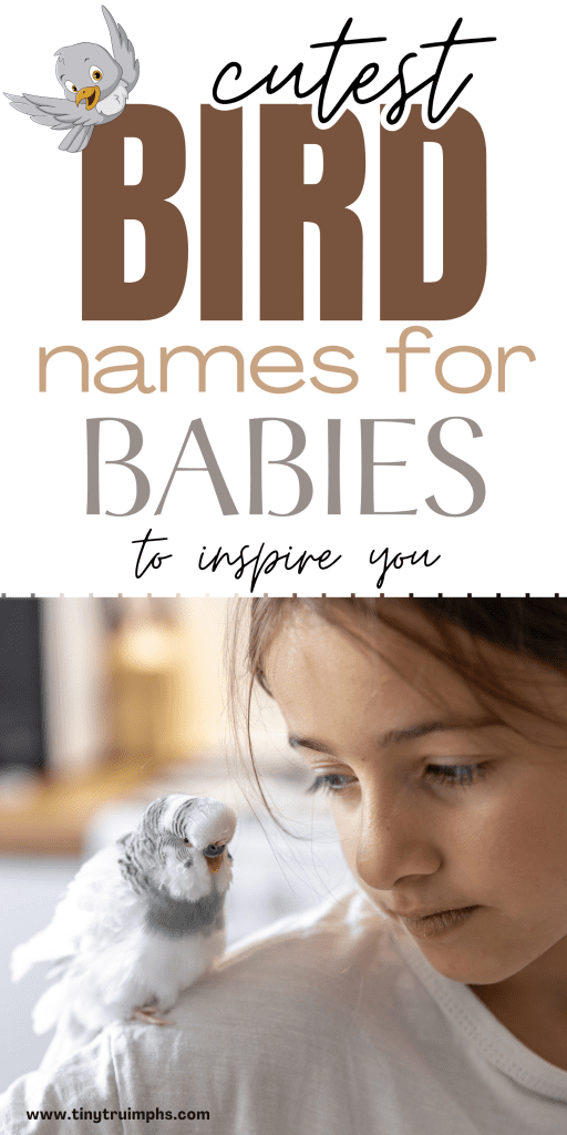 Cutest Bird Names For Babies